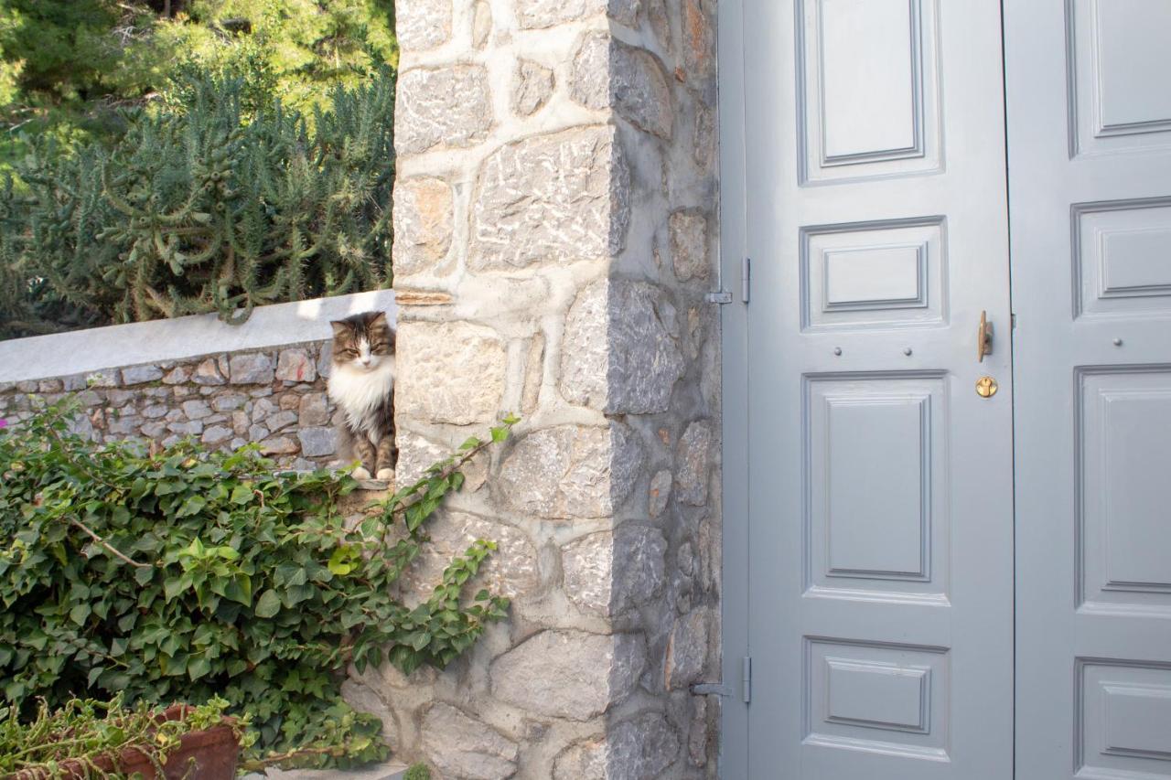 Pine Trees And Sea View Houses In Hydra - Daphne, Chloe, Myrto, Eleni Exterior foto