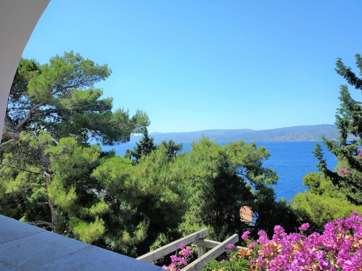 Pine Trees And Sea View Houses In Hydra - Daphne, Chloe, Myrto, Eleni Exterior foto