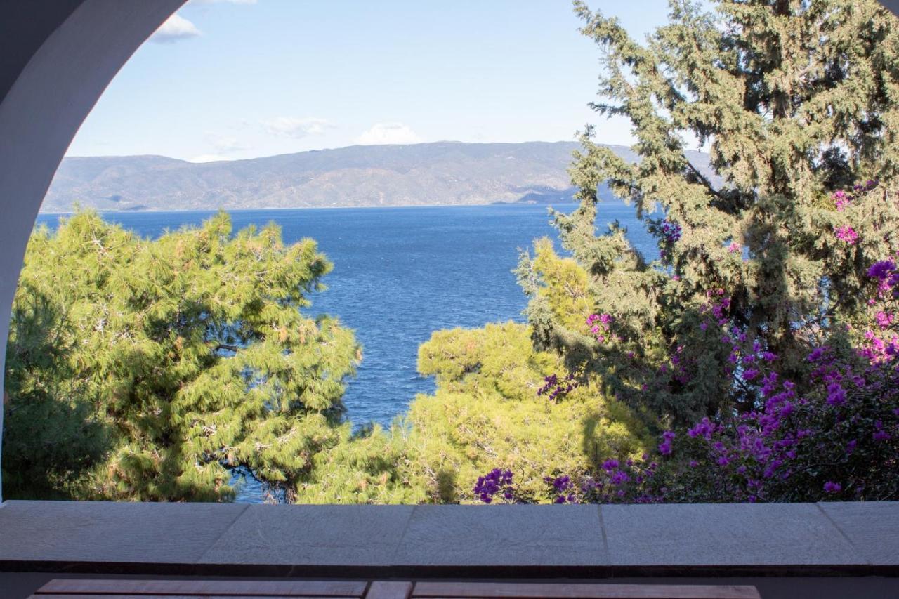 Pine Trees And Sea View Houses In Hydra - Daphne, Chloe, Myrto, Eleni Exterior foto