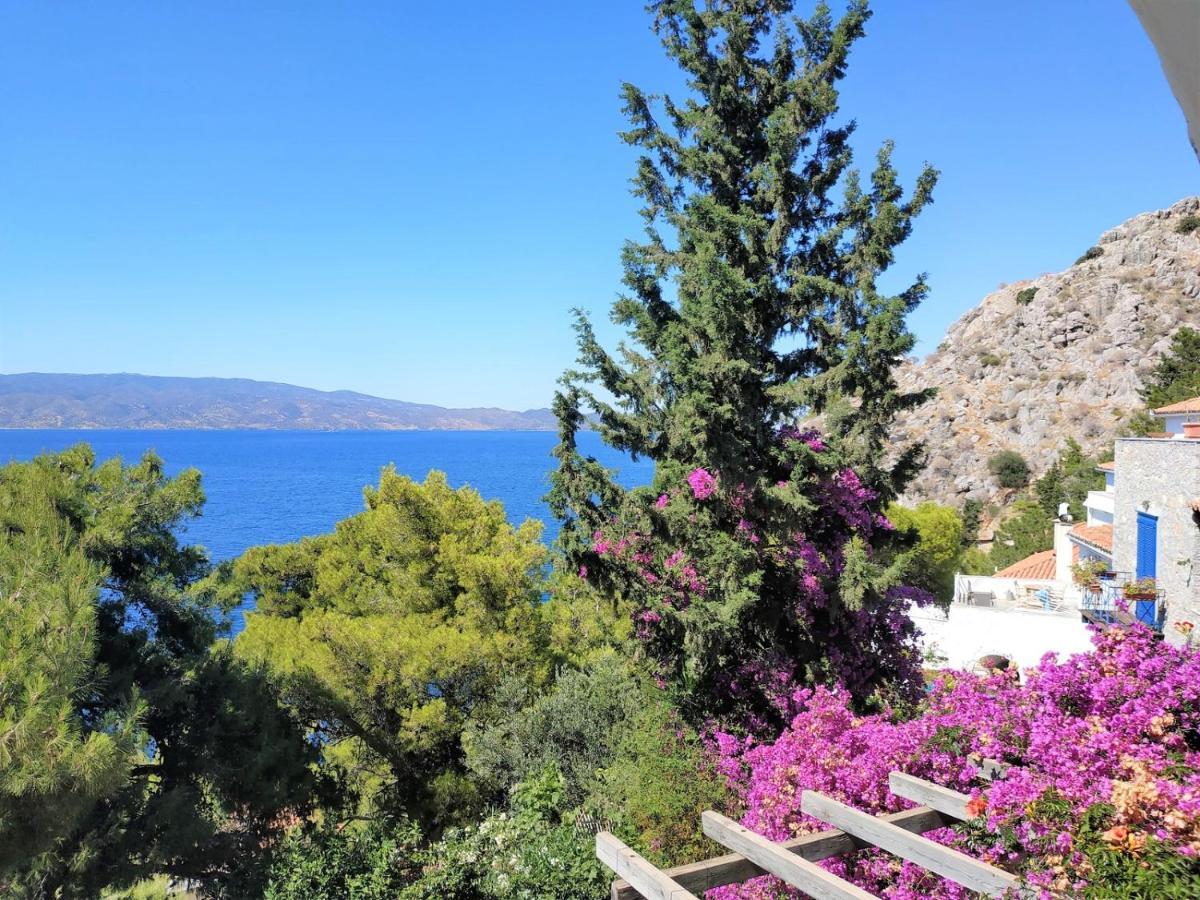 Pine Trees And Sea View Houses In Hydra - Daphne, Chloe, Myrto, Eleni Exterior foto