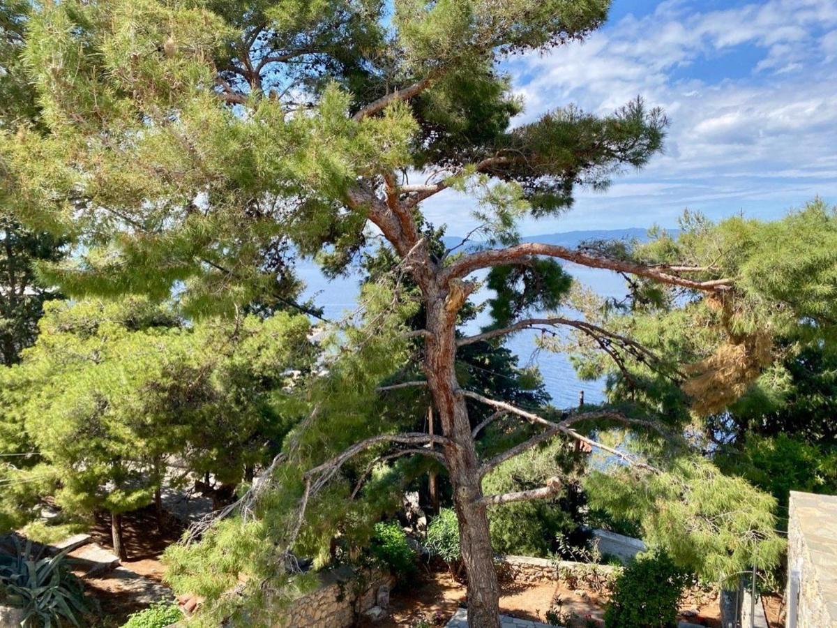 Pine Trees And Sea View Houses In Hydra - Daphne, Chloe, Myrto, Eleni Exterior foto