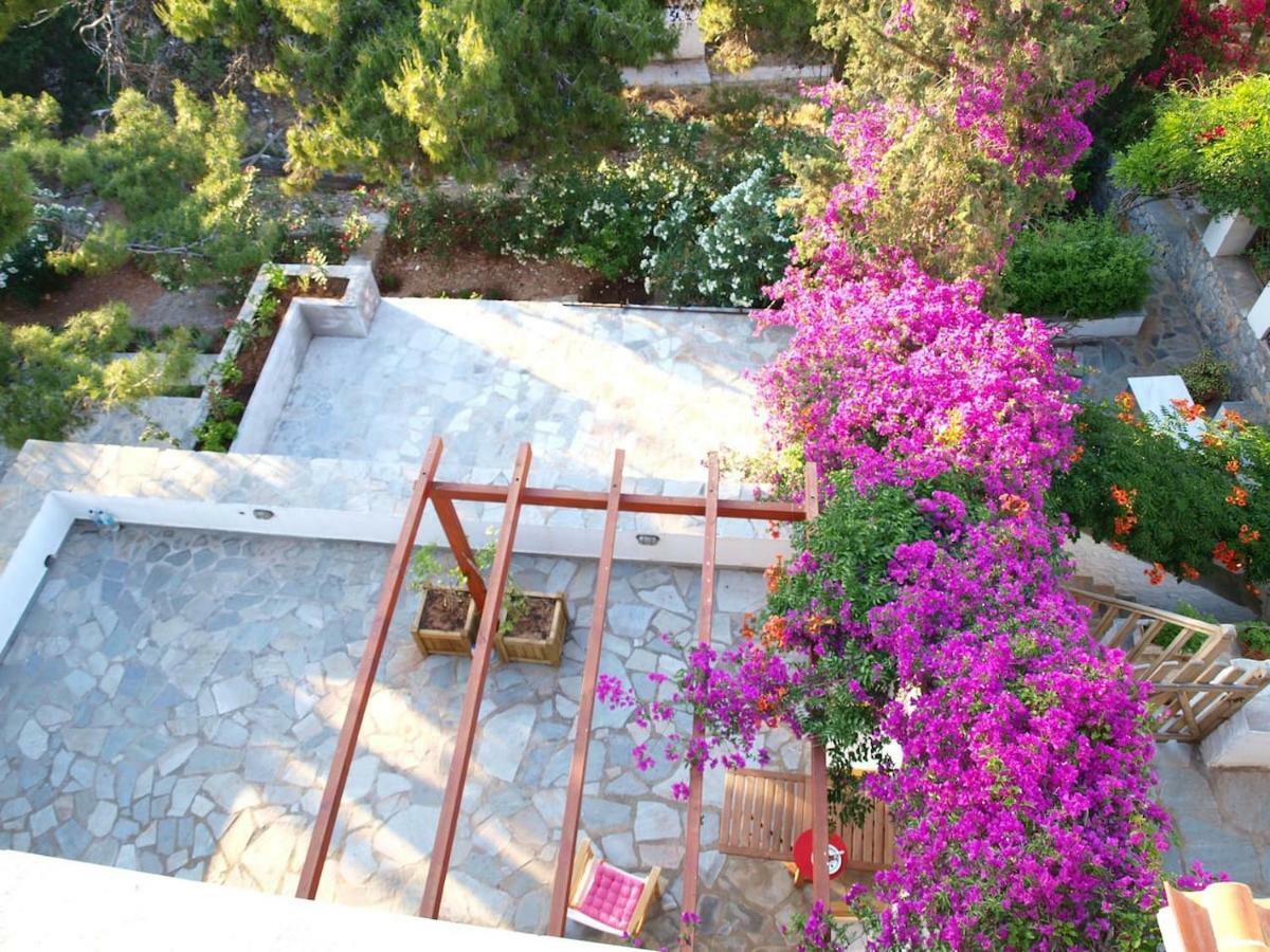 Pine Trees And Sea View Houses In Hydra - Daphne, Chloe, Myrto, Eleni Exterior foto